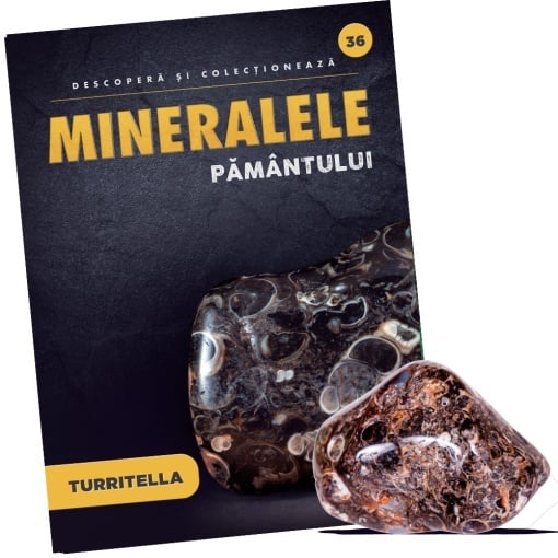 Turritella - Ediția nr. 36 (Descoperă Mineralele Pământului)