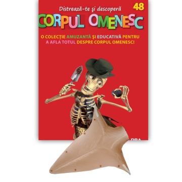 Mușchiul trapez - ediția nr. 48 (Corpul Omenesc)