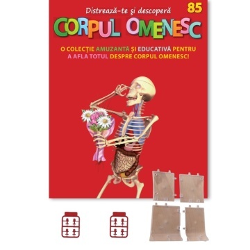Suport inferior spate - ediția nr. 85 (Corpul Omenesc)