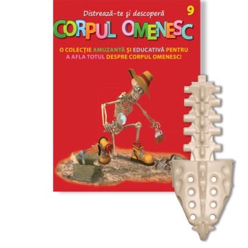 Corpul Omenesc Vertebre lombare/coccis - ediția nr. 9 (Corpul Omenesc)