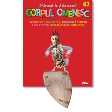 Mușchiul umărului drept (față) - ediția nr. 62 (Corpul Omenesc)