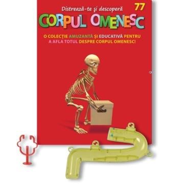 Duoden (spate) + Pilor - ediția nr. 77 (Corpul Omenesc)