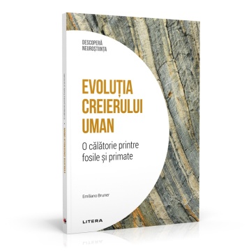 Evolutia creierului uman - ediția 30 (Descoperă Neuroștiința)