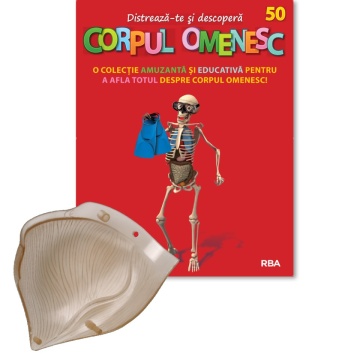 Mușchiul gluteus stâng (jos) - ediția nr. 50 (Corpul Omenesc)