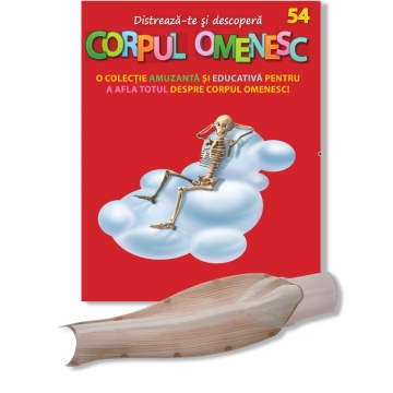 Muşchi gambă stânga (față) - ediția nr. 54 (Corpul Omenesc)