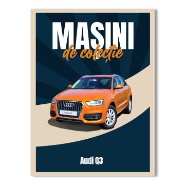 Audi Q3 - ediția nr. 142(Mașini de Colecție)