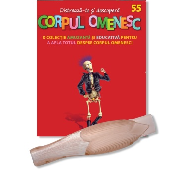 Muşchi gambă stânga (spate) - ediția nr. 55 (Corpul Omenesc)