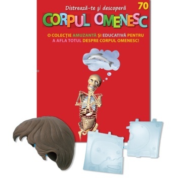 Păr + Suport inferior C1R + Suport inferior C1L i - ediția nr. 70 (Corpul Omenesc)