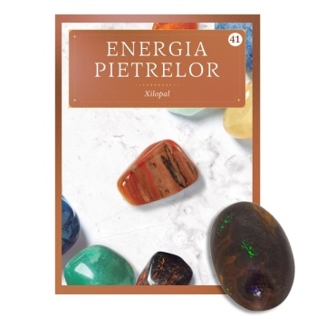 Xilopal - ediția 41 (Energia Pietrelor)