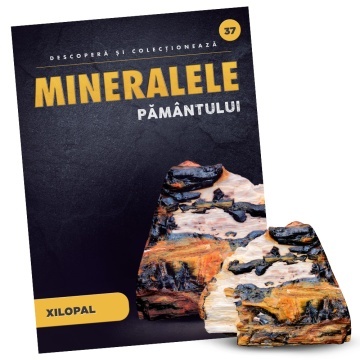 Xilopal - Ediția nr. 37 (Descoperă Mineralele Pământului)