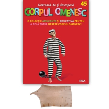 Mușchi trunchi (spate) Blister - ediția nr. 45 (Corpul Omenesc)