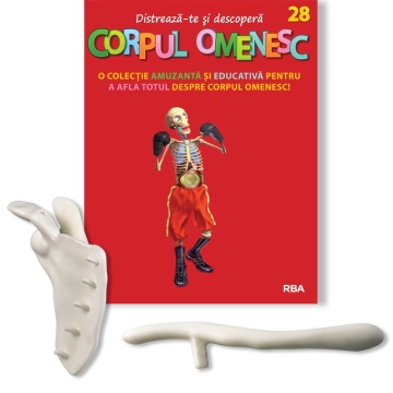 Clavicula si omoplat (dreapta) - ediția nr. 28 (Corpul Omenesc)