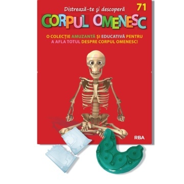 Partea din spate a stomacului + Suport inferior D1R + Suport inferior D1 i - ediția nr. 71 (Corpul Omenesc)