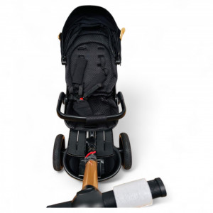 Tricicleta Copii Cu Pozitie De Somn Scaun Rotativ Sunete Si Lumini BPT620 Gold Wings Plus - Img 7