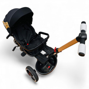 Tricicleta Copii Cu Pozitie De Somn Scaun Rotativ Sunete Si Lumini BPT620 Gold Wings Plus - Img 8