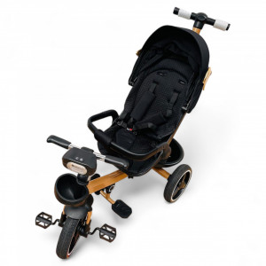 Tricicleta Copii Cu Pozitie De Somn Scaun Rotativ Sunete Si Lumini BPT620 Gold Wings Plus - Img 5