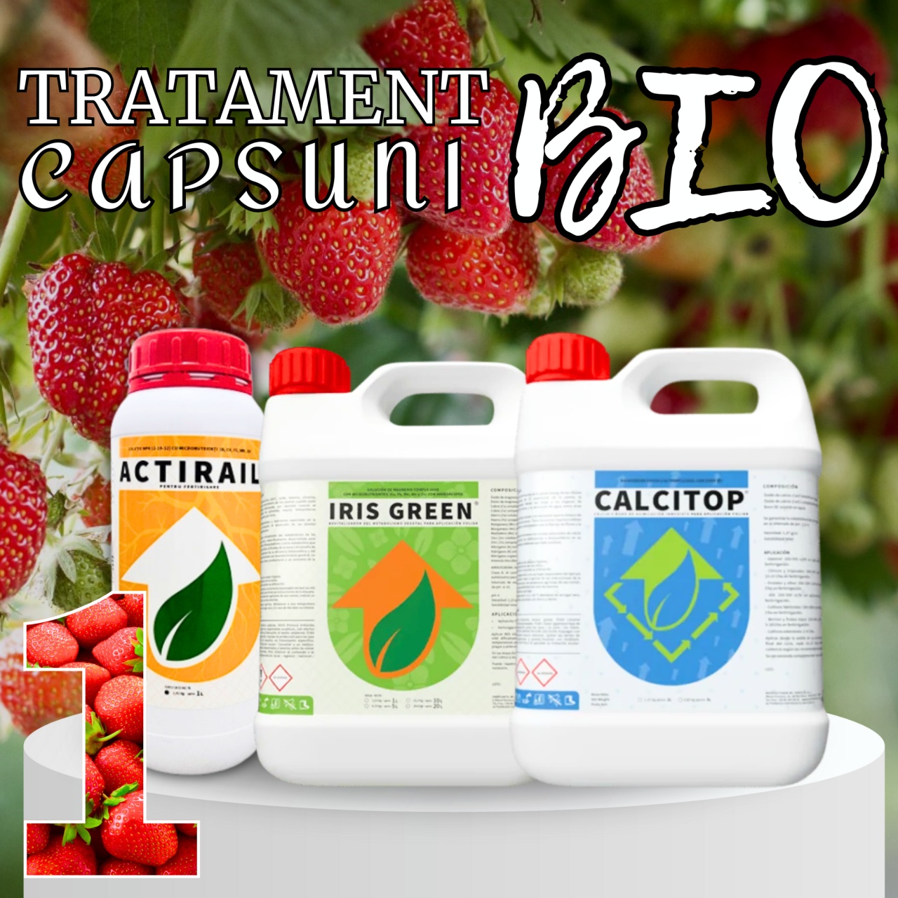 BIOPACK Stadiu 1 CAPSUNI - Transplantare, Dezvoltare si Crestere Productivitate