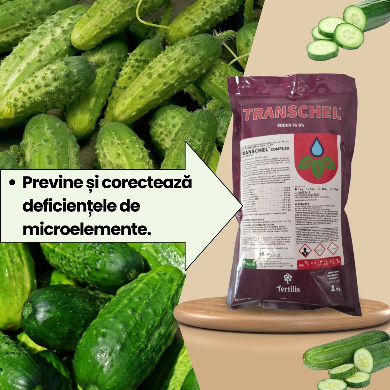 BIOPACK Stadiu 1 CASTRAVETI – Pregatirea Solului si Transplantare - 2 | YEO