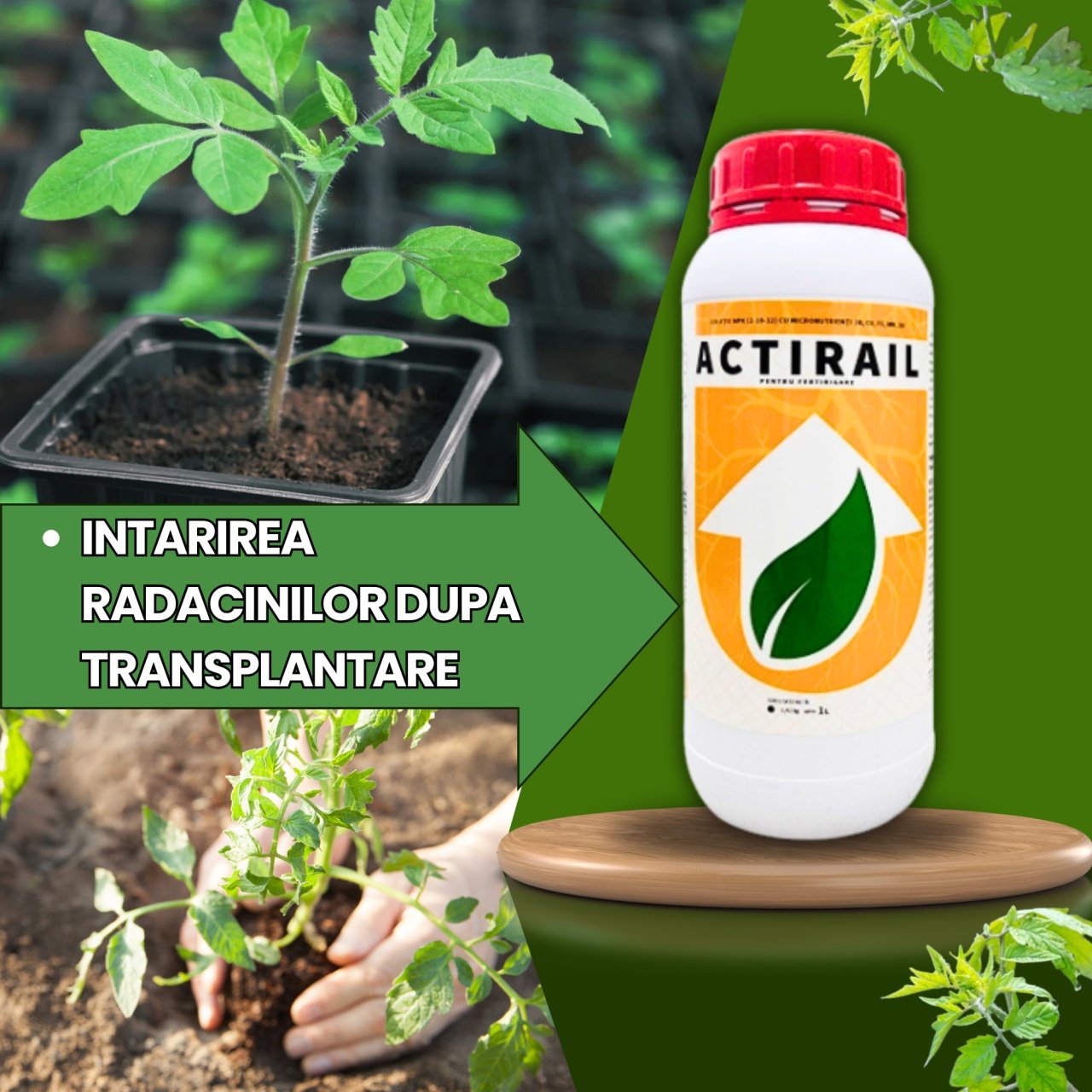 BIOPACK Stadiu 2 TOMATE - Cresterea Productivitatii - 3 | YEO