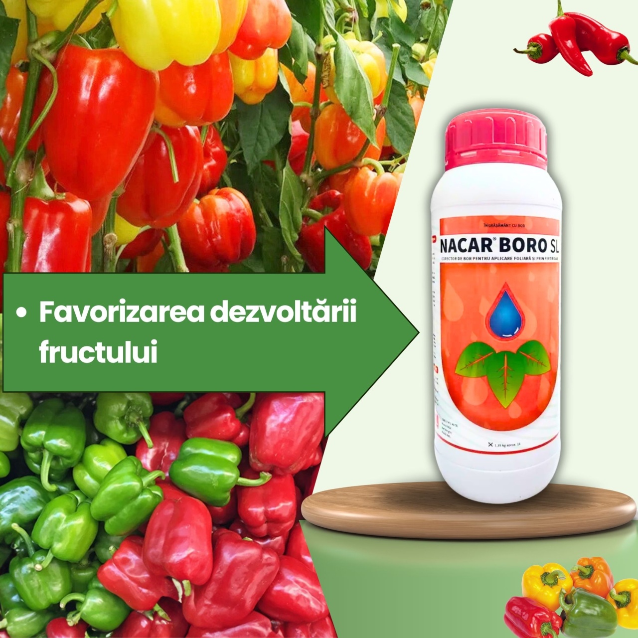 BIOPACK Stadiu 3 ARDEI – Dezvoltare Fruct si Corectare Carente - 1 | YEO