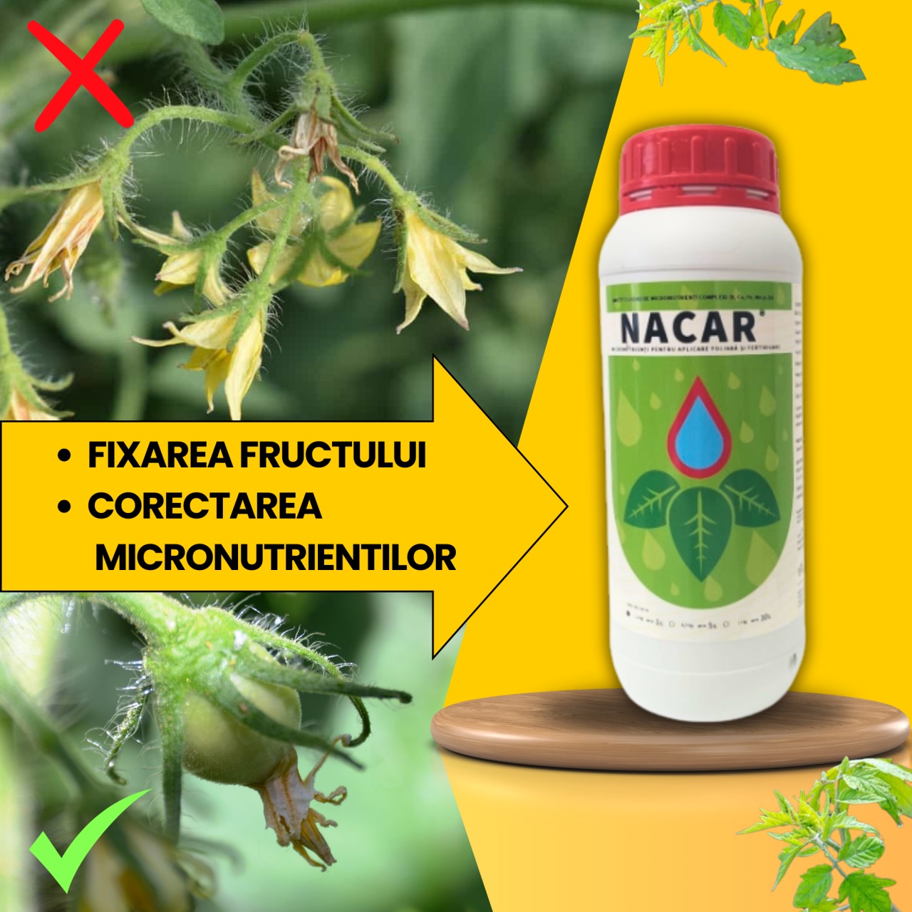 BIOPACK Stadiu 3 TOMATE - Fixarea Fructului si Dezvoltarea Incipienta - 1 | YEO