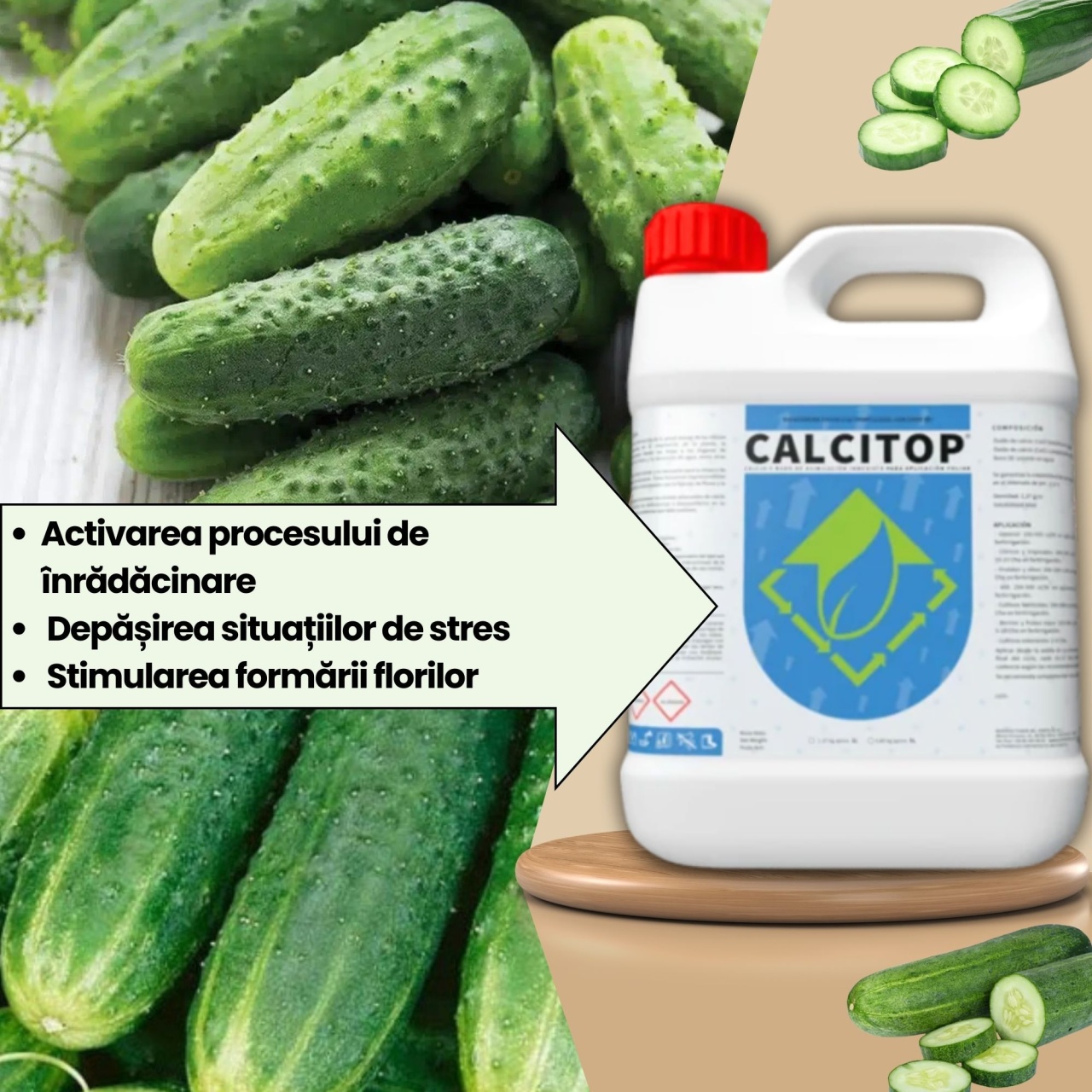 BIOPACK Stadiu 5 CASTRAVETI – Coacere Rapida si Calciu Asimilat - 3 | YEO