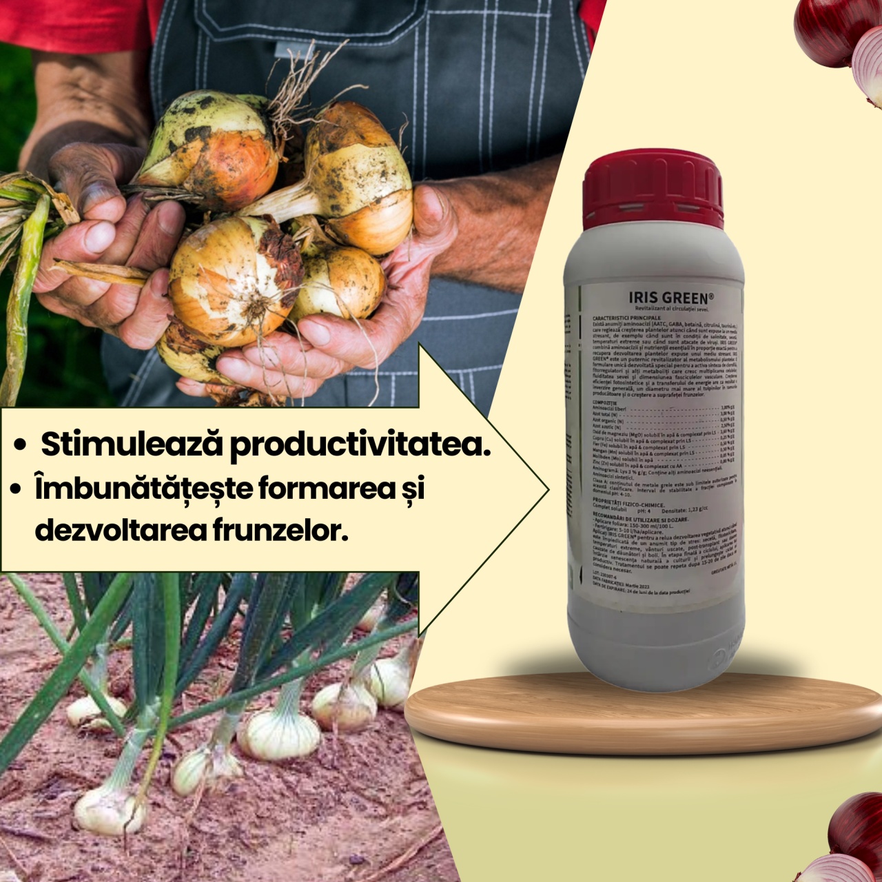 BIOPACK Stadiul 2 Ceapa - Dezvoltare Vegetativa - Maturitate - 3 | YEO