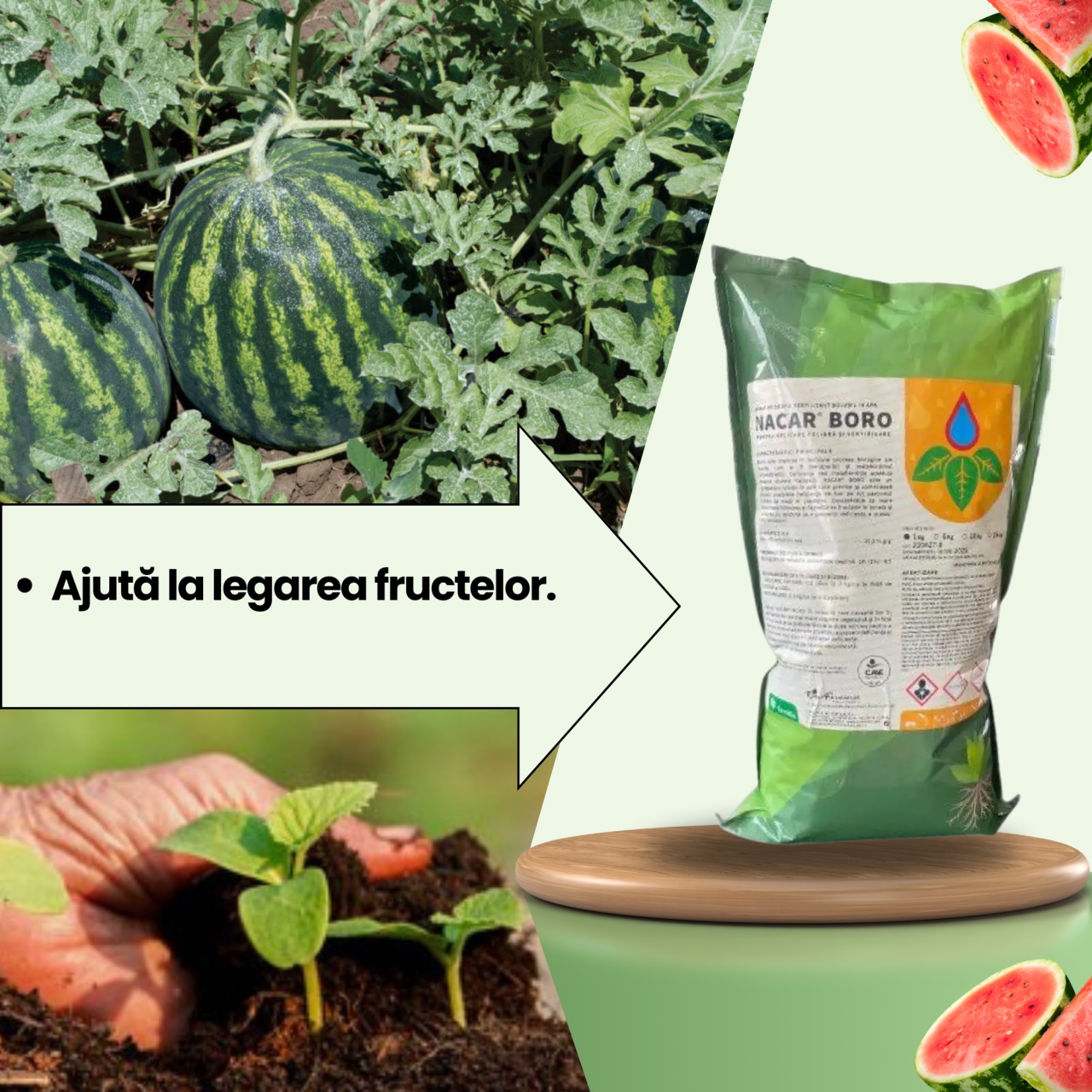 BIOPACK Stadiul 3 Pepeni - Inflorire - Cresterea Fructului - 1 | YEO