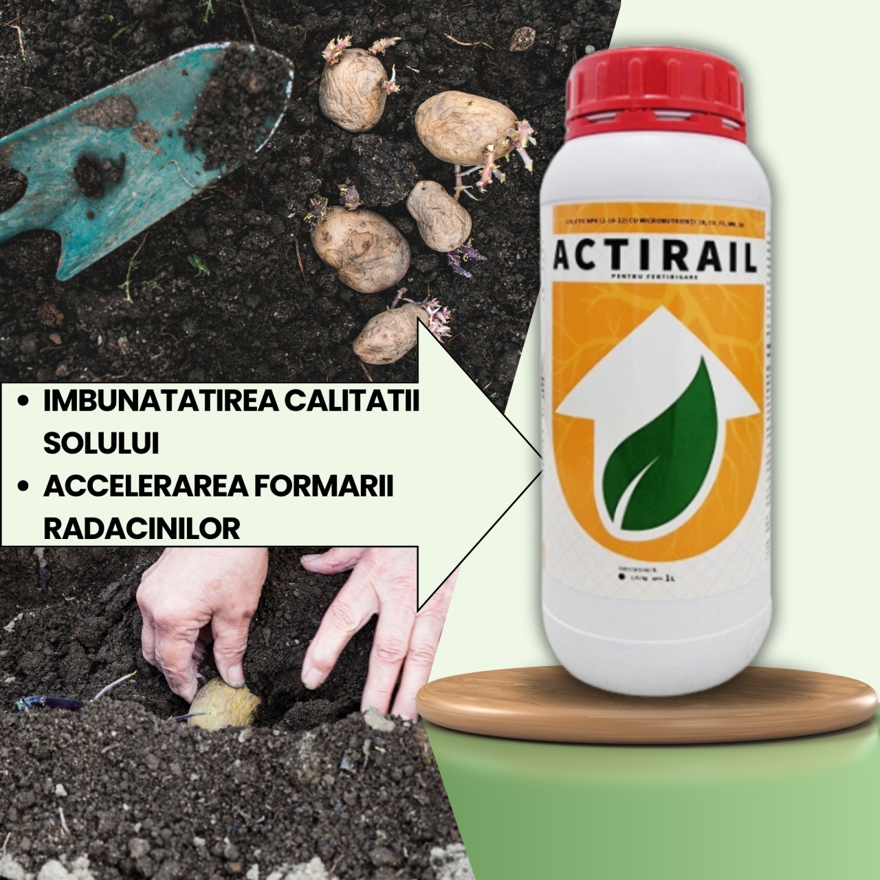 BIOPACK Stadiu 1 CARTOFI - Formarea Radacinilor si Accelerarea Cresterii - 1 | YEO