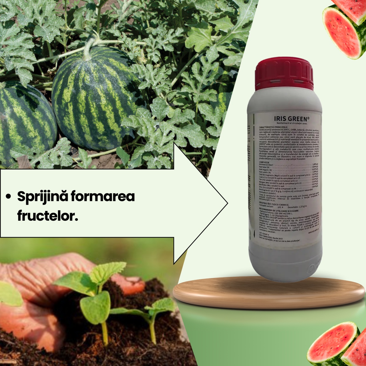 BIOPACK Stadiul 3 Pepeni - Inflorire - Cresterea Fructului - 2 | YEO
