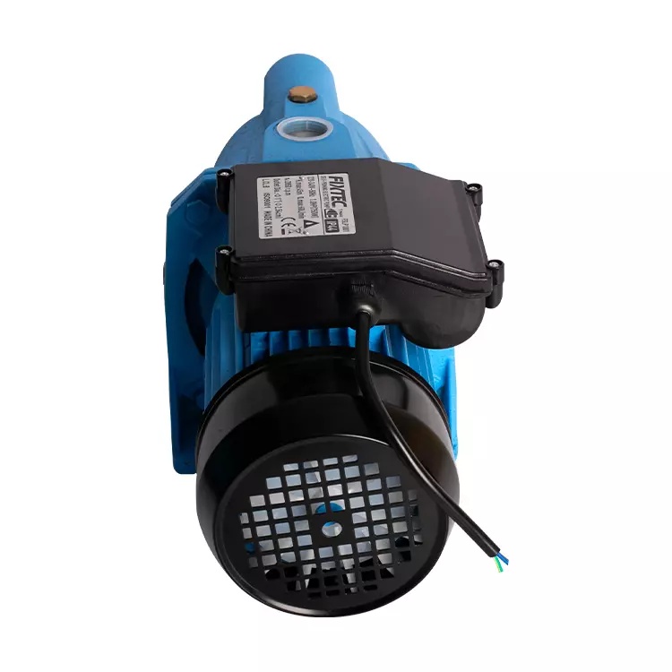Pompa autoamorsanta FIXTEC 750W (1CP) – cu motor cupru si protectie termica - 1 | YEO