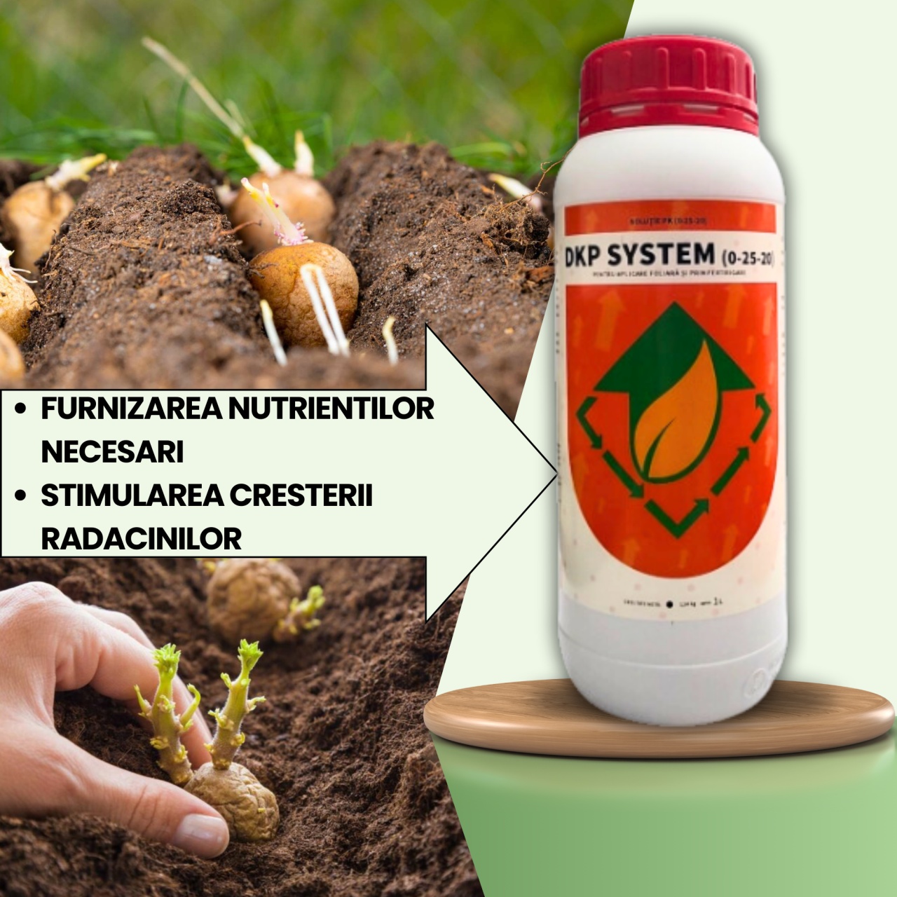 BIOPACK Stadiu 1 CARTOFI - Formarea Radacinilor si Accelerarea Cresterii - 2 | YEO