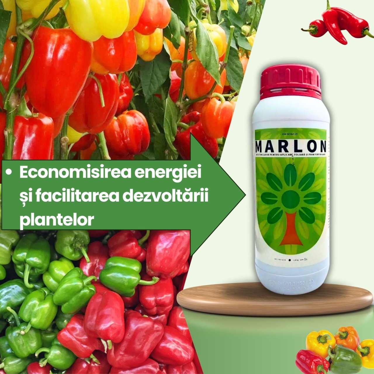 BIOPACK Stadiu 2 ARDEI – Crestere Vegetativa si Fructificare - 1 | YEO