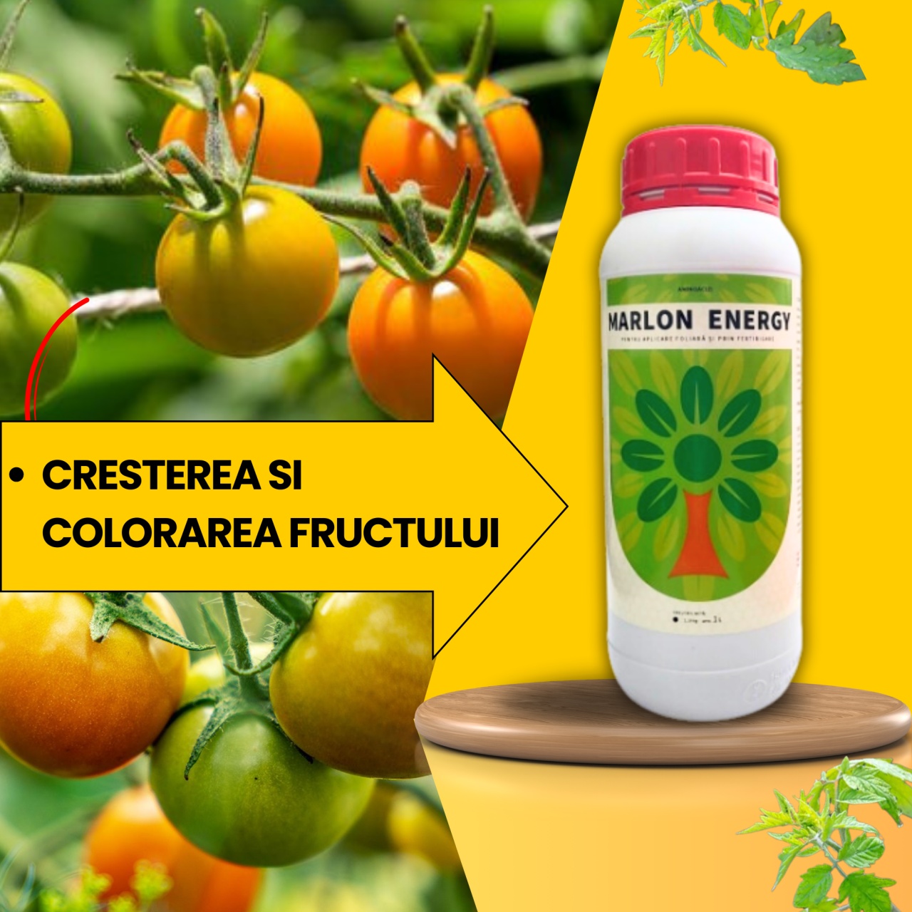 BIOPACK Stadiu 3 TOMATE - Fixarea Fructului si Dezvoltarea Incipienta - 3 | YEO