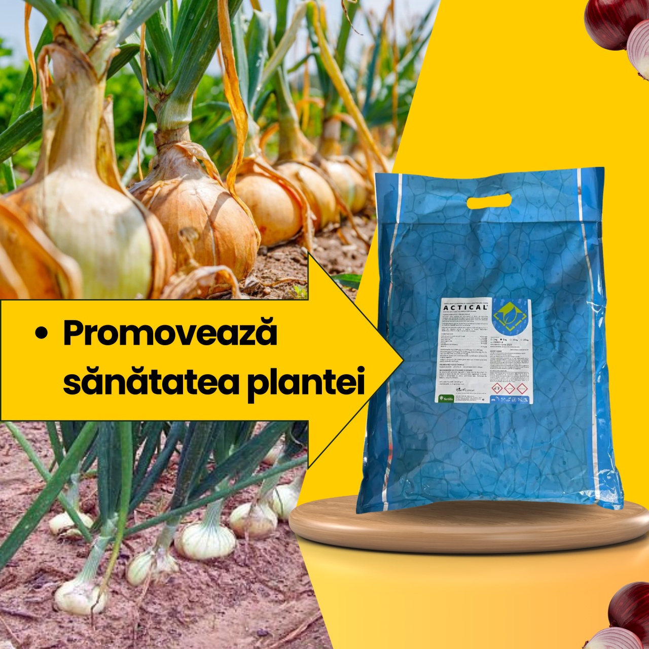 BIOPACK Stadiul 3 Ceapa - Dezvoltarea Bulbilor - Maturitate - 2 | YEO
