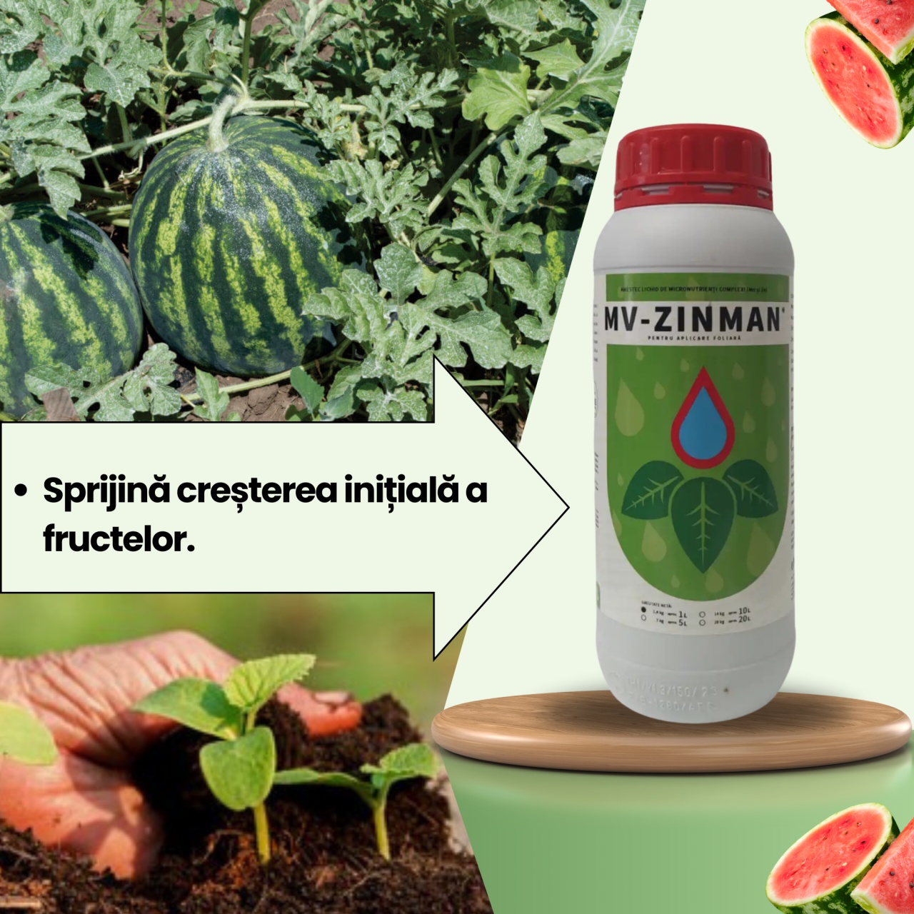 BIOPACK Stadiul 3 Pepeni - Inflorire - Cresterea Fructului - 3 | YEO
