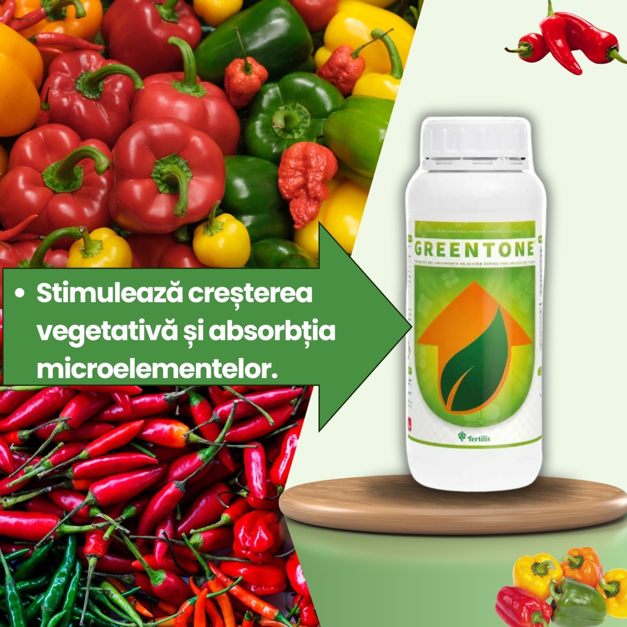 BIOPACK Stadiu 2 ARDEI – Crestere Vegetativa si Fructificare - 2 | YEO