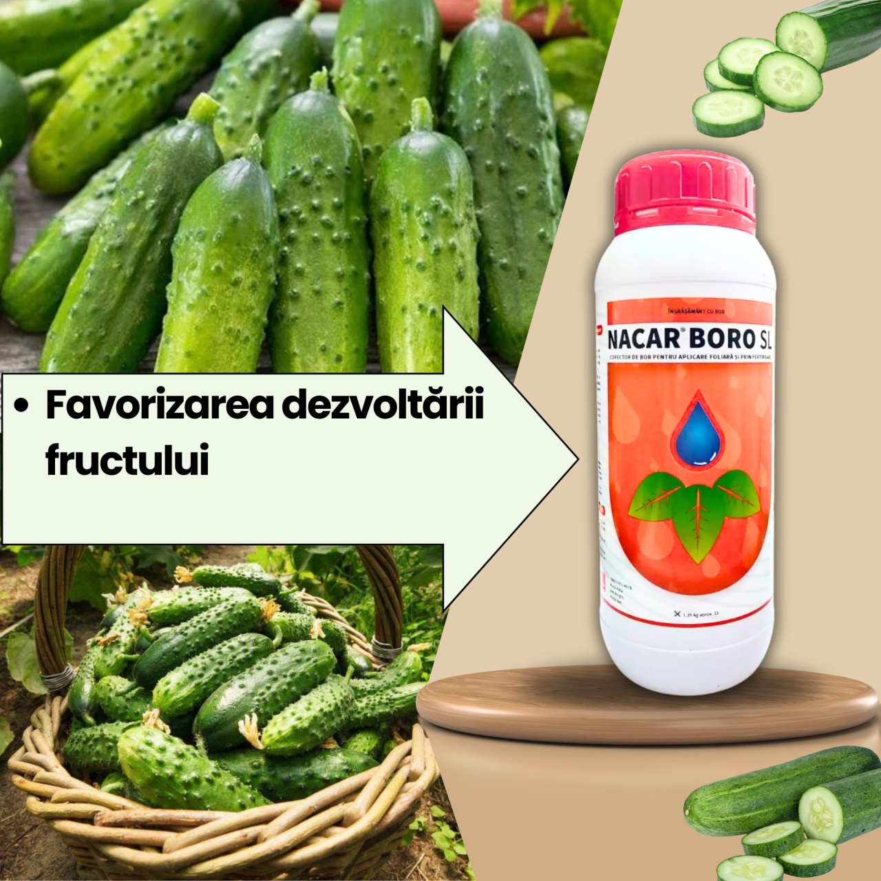 BIOPACK Stadiu 3 CASTRAVETI – Inflorire si Crestere Fruct - 1 | YEO
