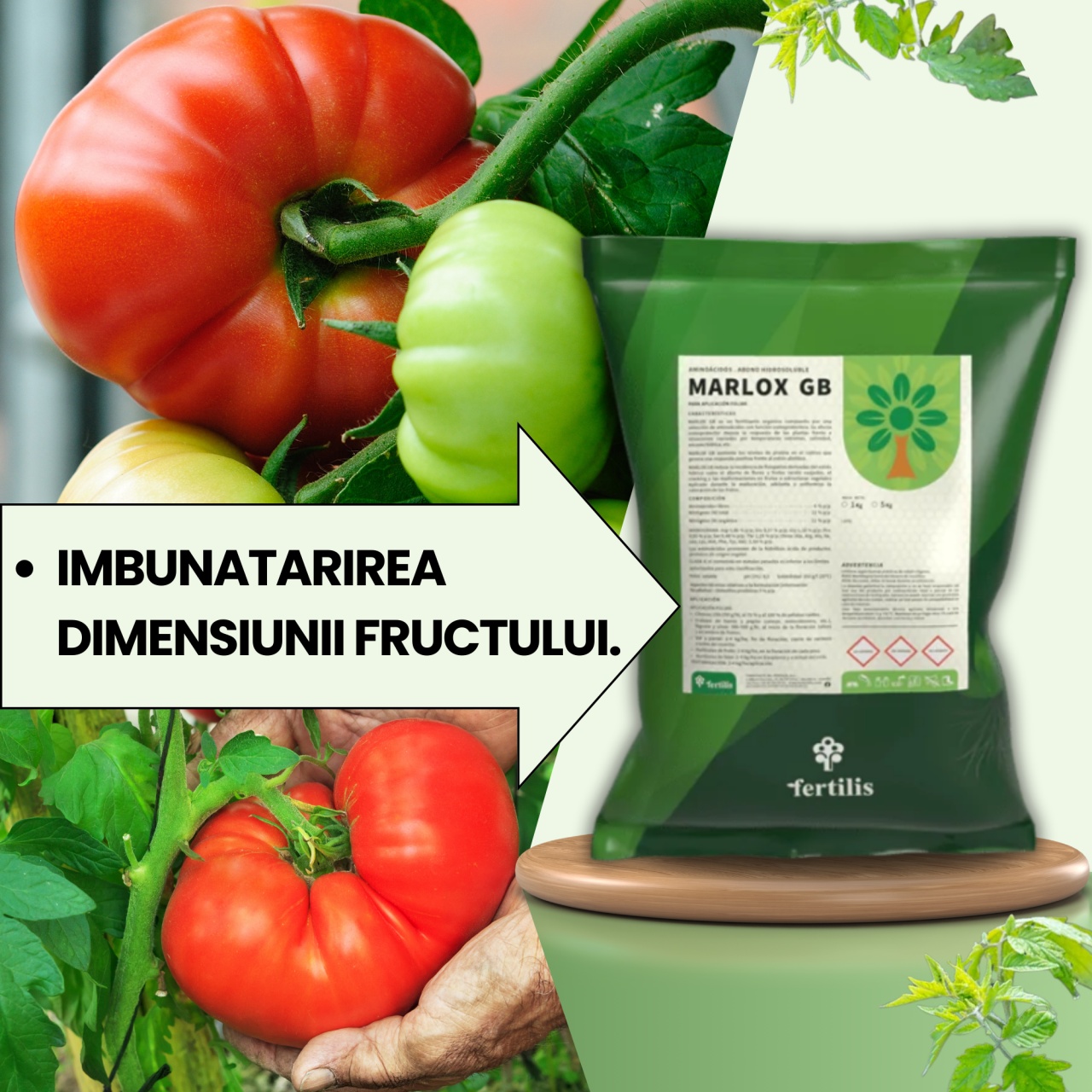 BIOPACK Stadiu 4 TOMATE - Accelerare Crestere si Colorare Fruct - 1 | YEO