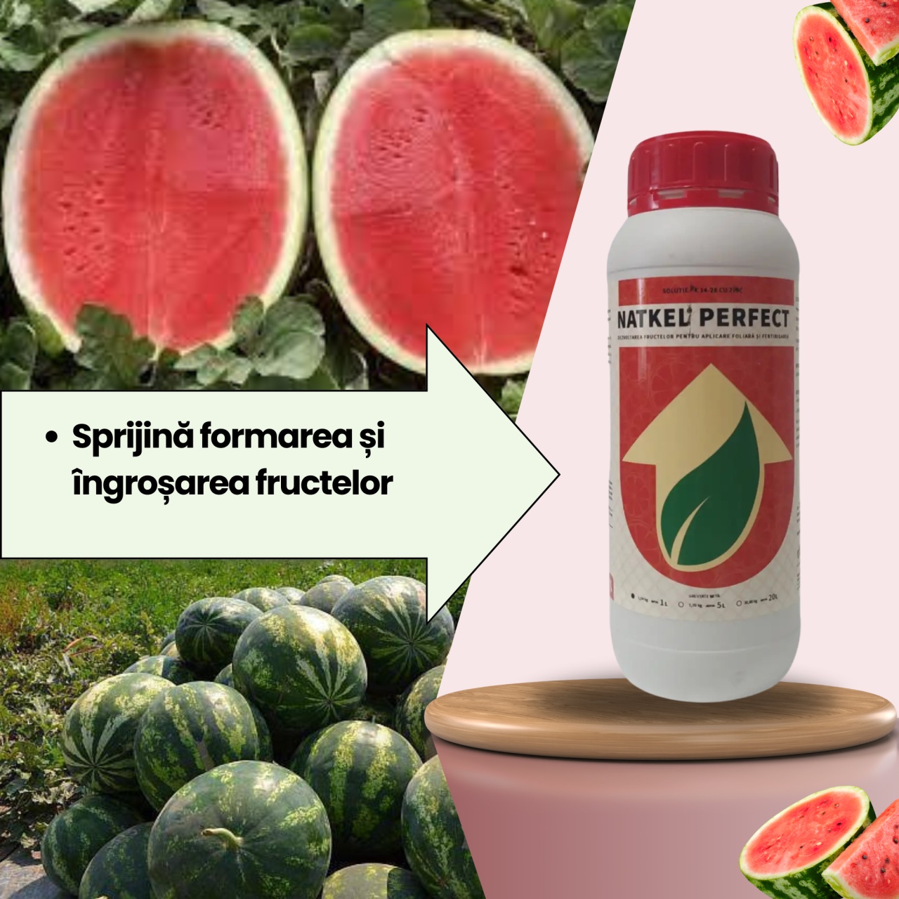 BIOPACK Stadiul 4 Pepeni - Dezvoltarea Frunzei - Coacere - 1 | YEO