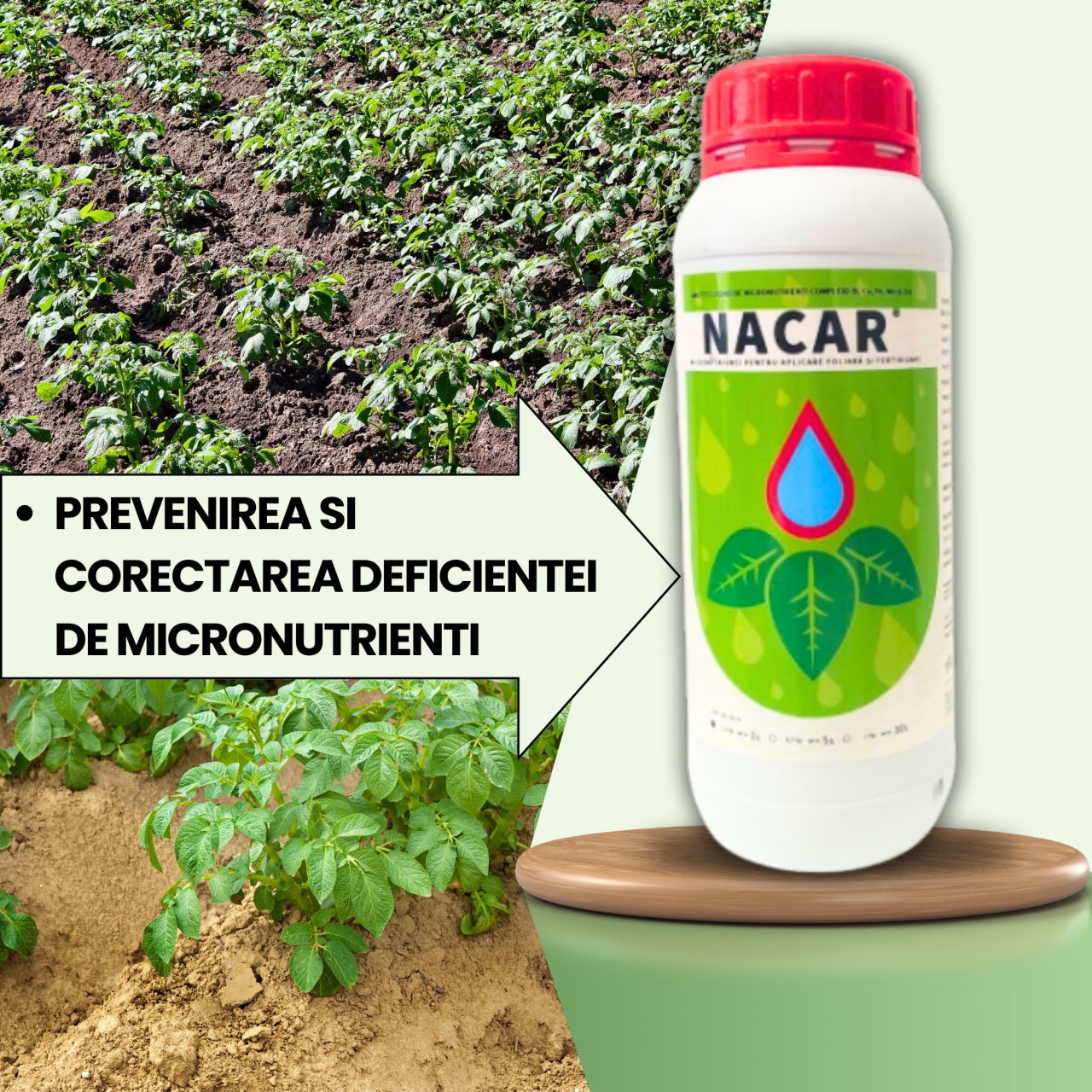 BIOPACK Stadiu 2 CARTOFI - Corectarea deficientei de micronutrienti si intarirea tesutului - 1 | YEO