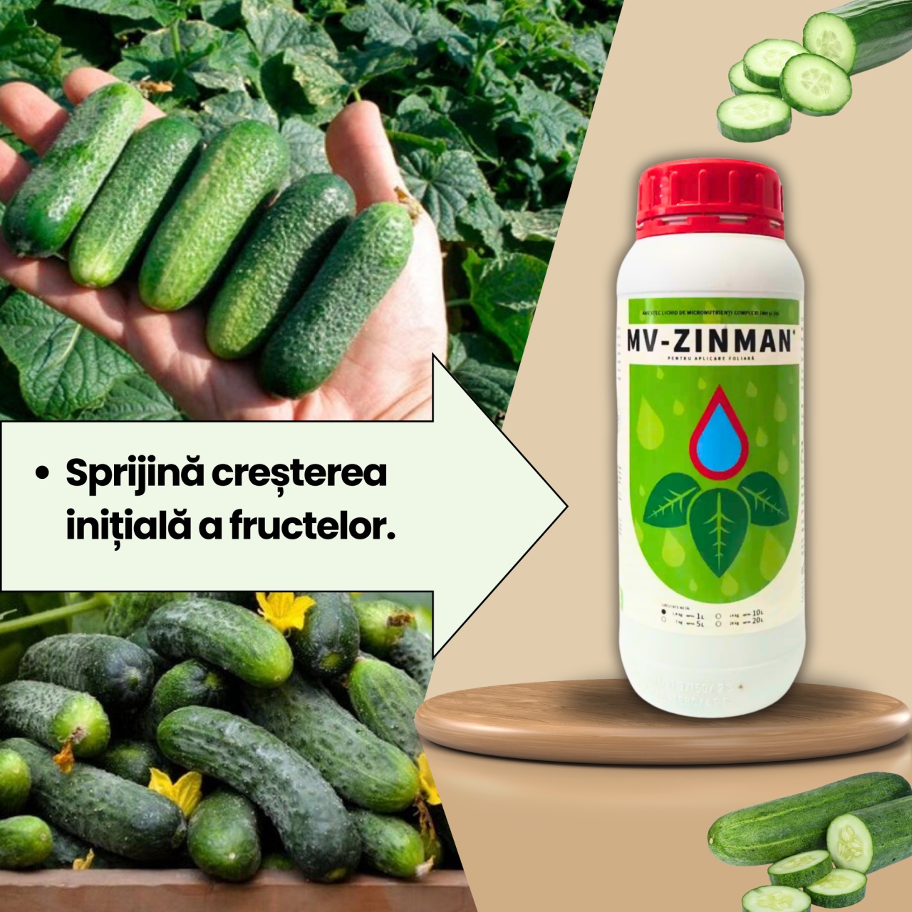 BIOPACK Stadiu 3 CASTRAVETI – Inflorire si Crestere Fruct - 2 | YEO