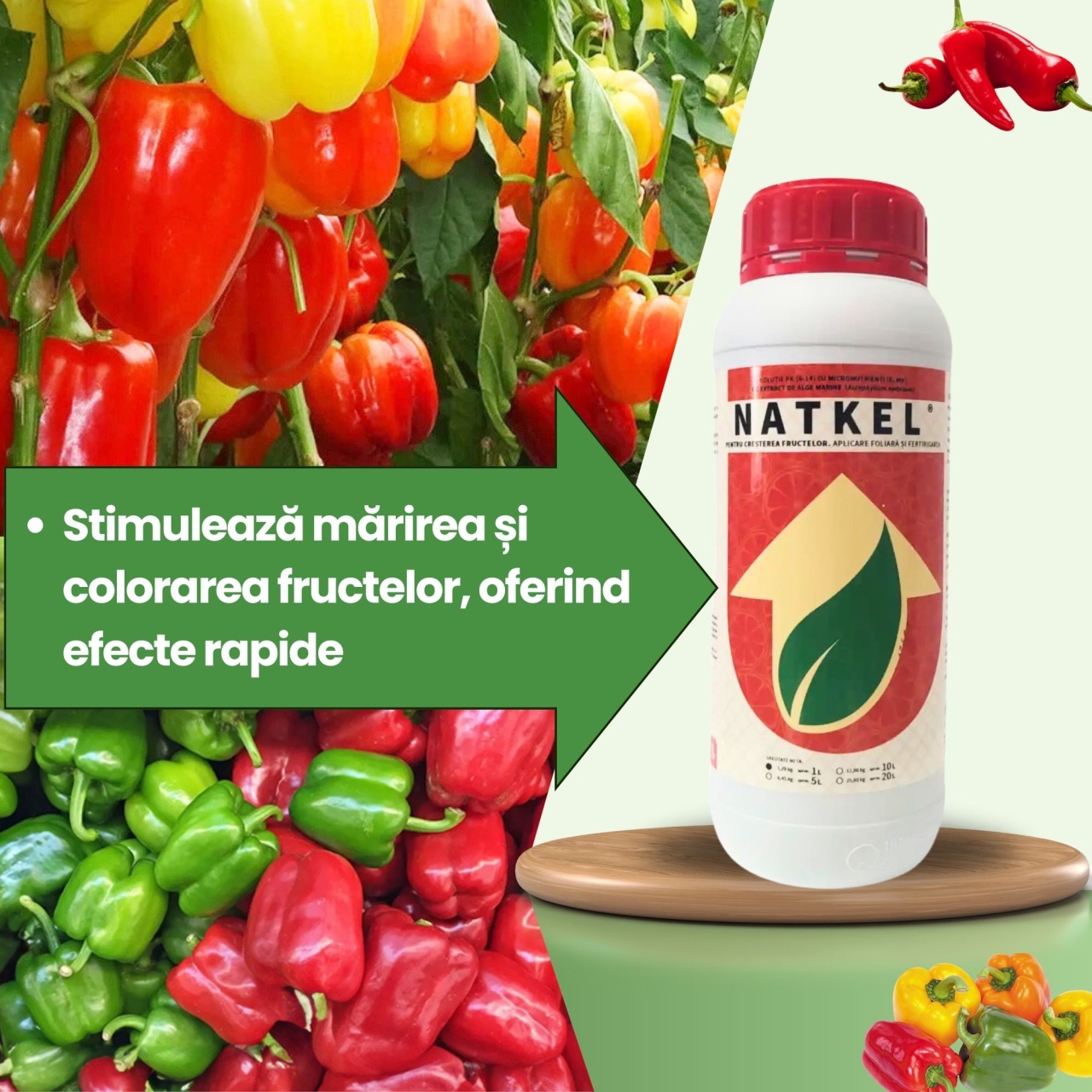 BIOPACK Stadiu 5 ARDEI – Coacere Accelerata si Gust Intens - 1 | YEO