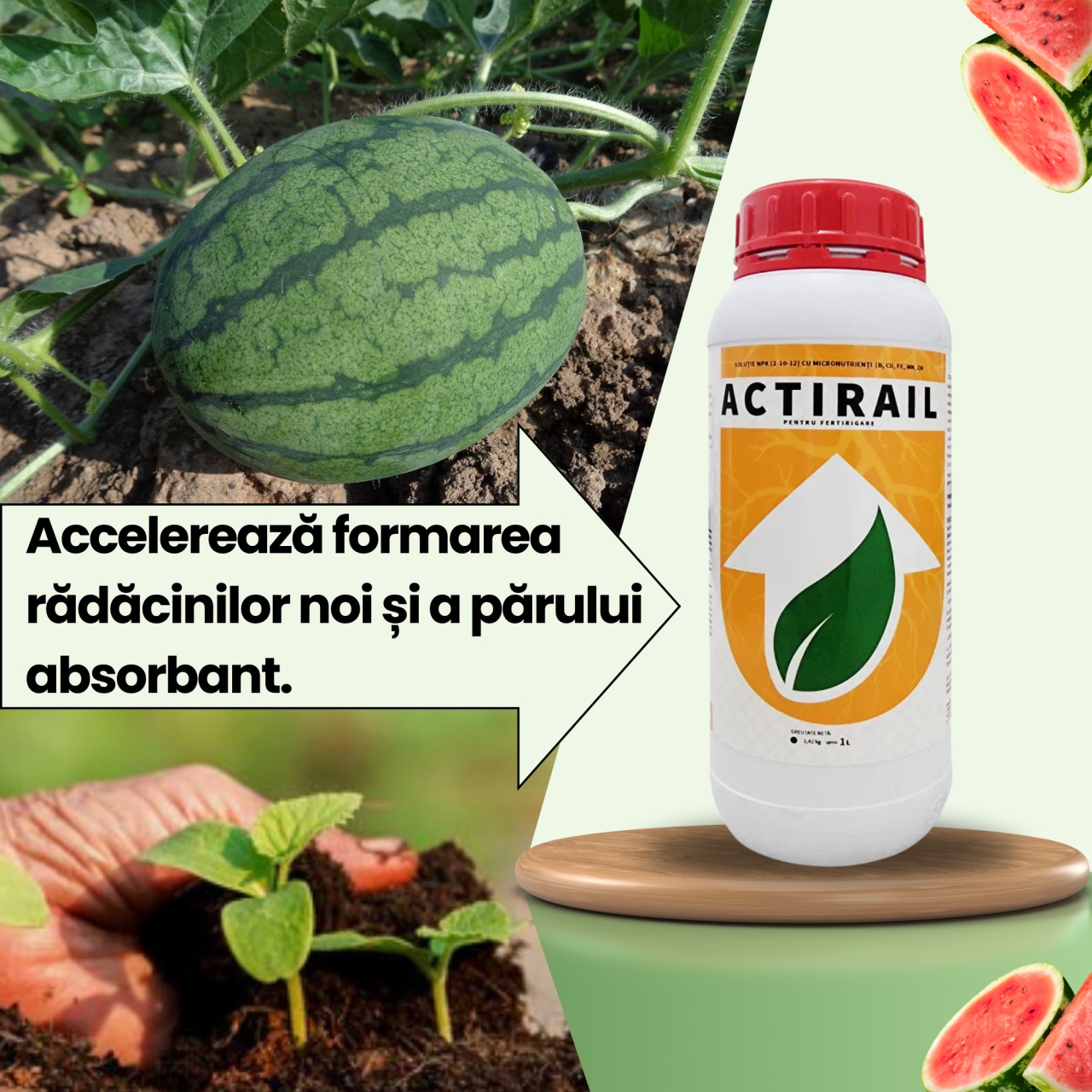 BIOPACK Stadiul 1 Pepeni - Pregatirea Solului - 1 | YEO