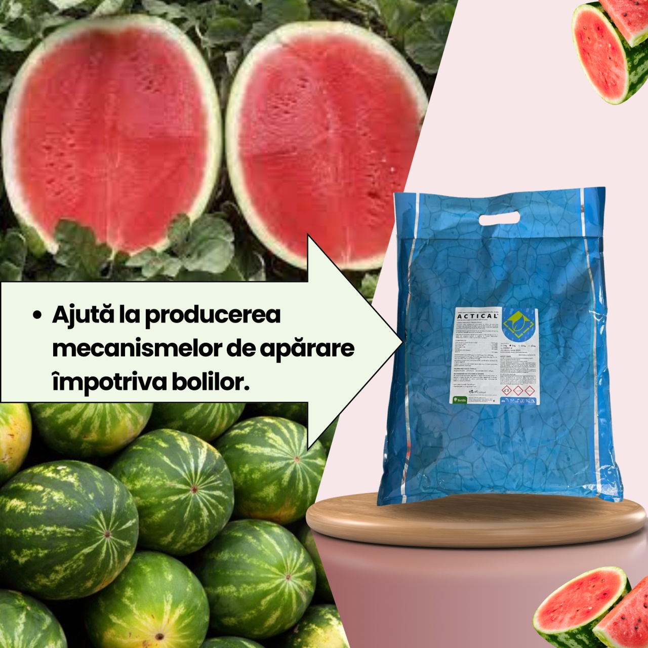 BIOPACK Stadiul 4 Pepeni - Dezvoltarea Frunzei - Coacere - 2 | YEO