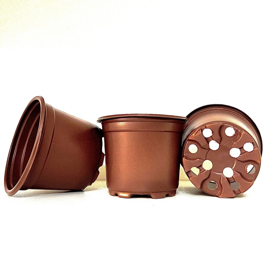 Ieftin Ghivece rotunde, 10.5 cm, plastic…