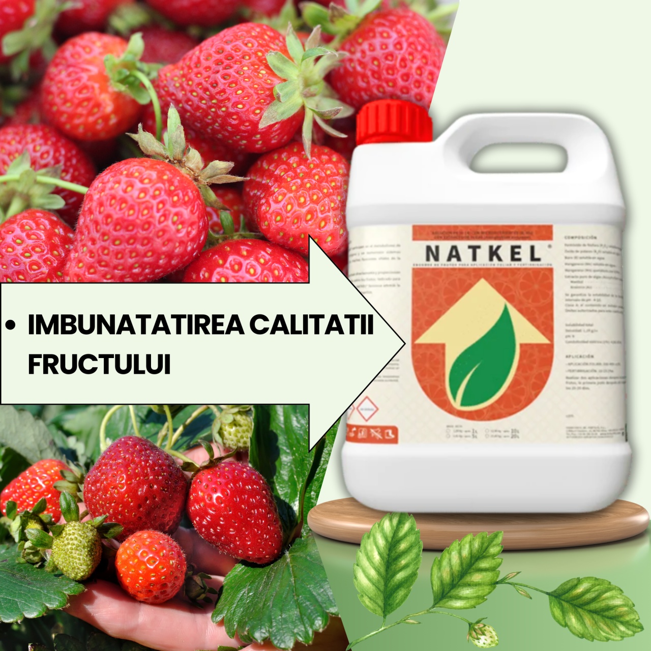 BIOPACK Stadiu 2 CAPSUNI - Fixare fruct, Accelerare Crestere si Colorare - 1 | YEO