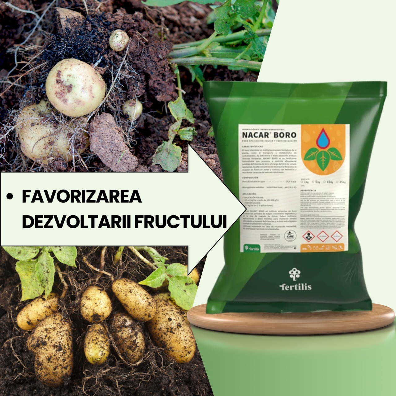 BIOPACK Stadiu 2 CARTOFI - Corectarea deficientei de micronutrienti si intarirea tesutului - 2 | YEO