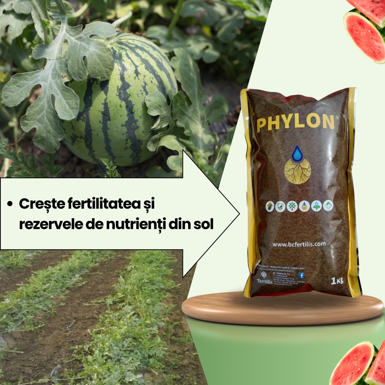BIOPACK Stadiul 1 Pepeni - Pregatirea Solului - 2 | YEO