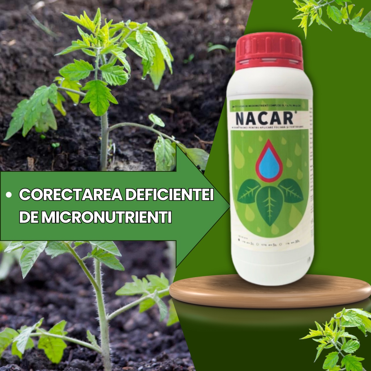 BIOPACK Stadiu 1 TOMATE - Transplantare + Dezvoltare – 700MP - 2 | YEO